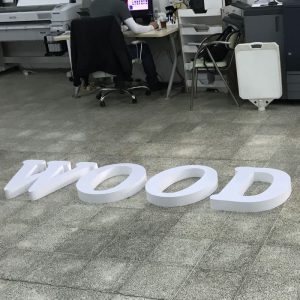 3D Letter Sign Without Lights Custom Dimensional Wall Letters